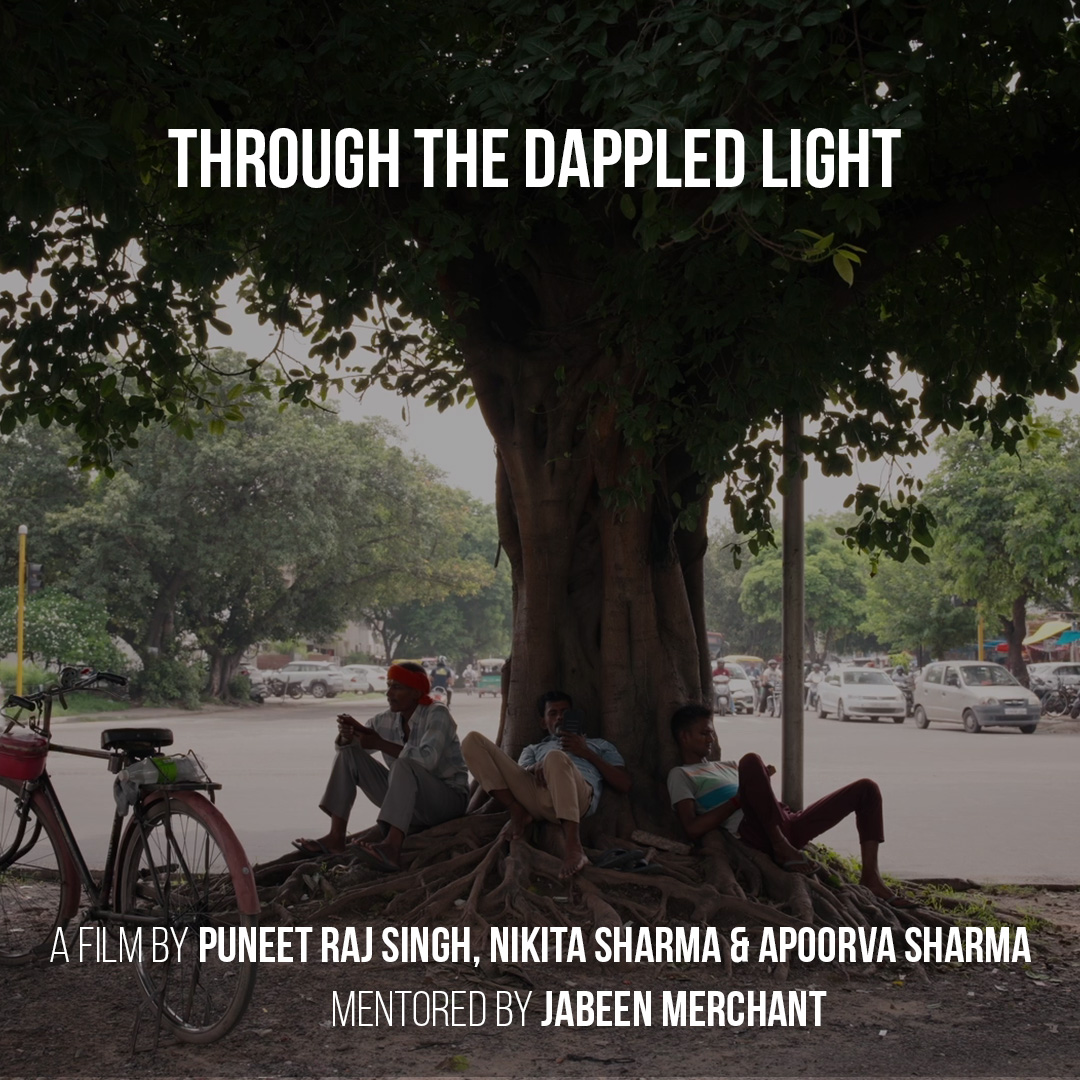 Through The Dappled Light